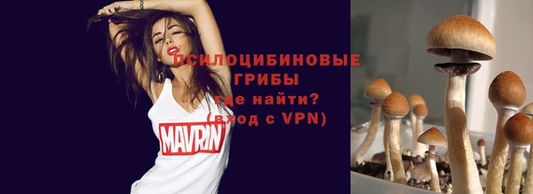 круглые Мегион