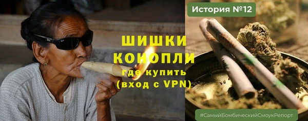 ПСИЛОЦИБИНОВЫЕ ГРИБЫ Медвежьегорск